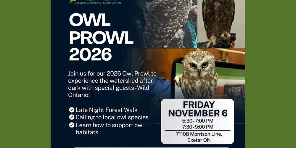 A poster with owl photos and details about November 6 Owl Prowl sessions.