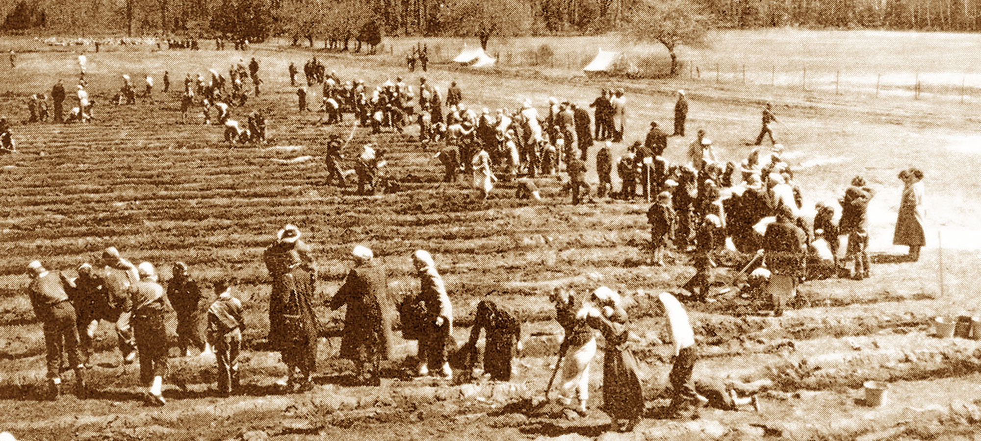 An historic photo of students planting trees with colour adjusted to approximate sepia.